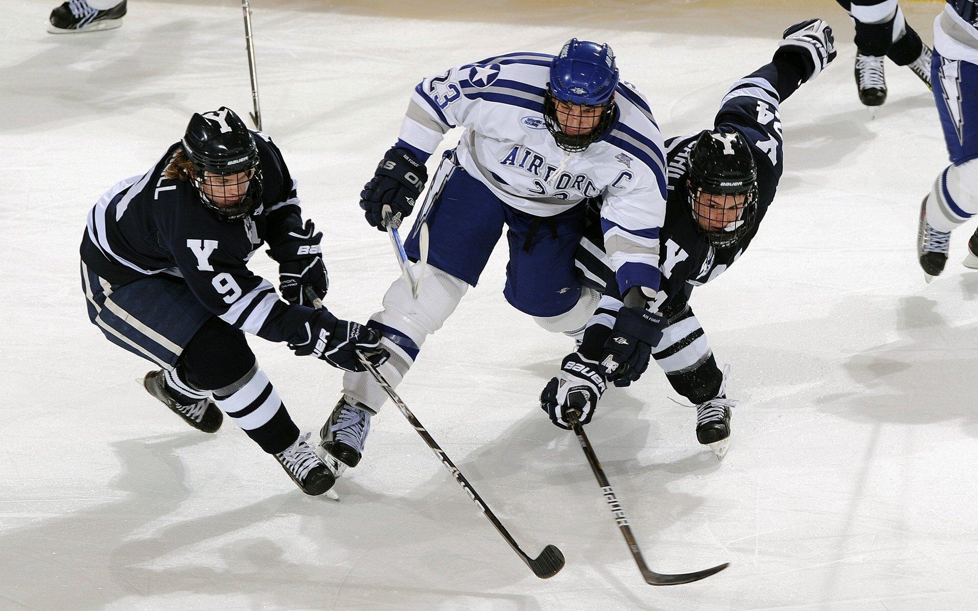 体育仲裁裁决引争议,运动员权益保障再成焦点