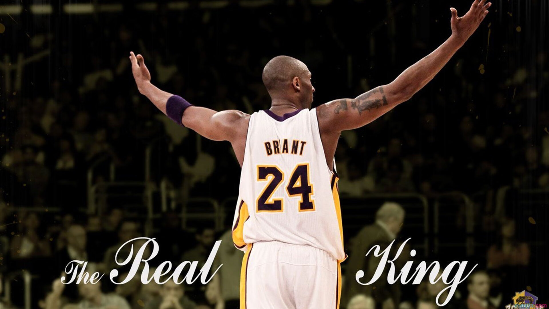 短道速滑世界杯首尔站,中国队斩获两金一银,林孝埈强势回归