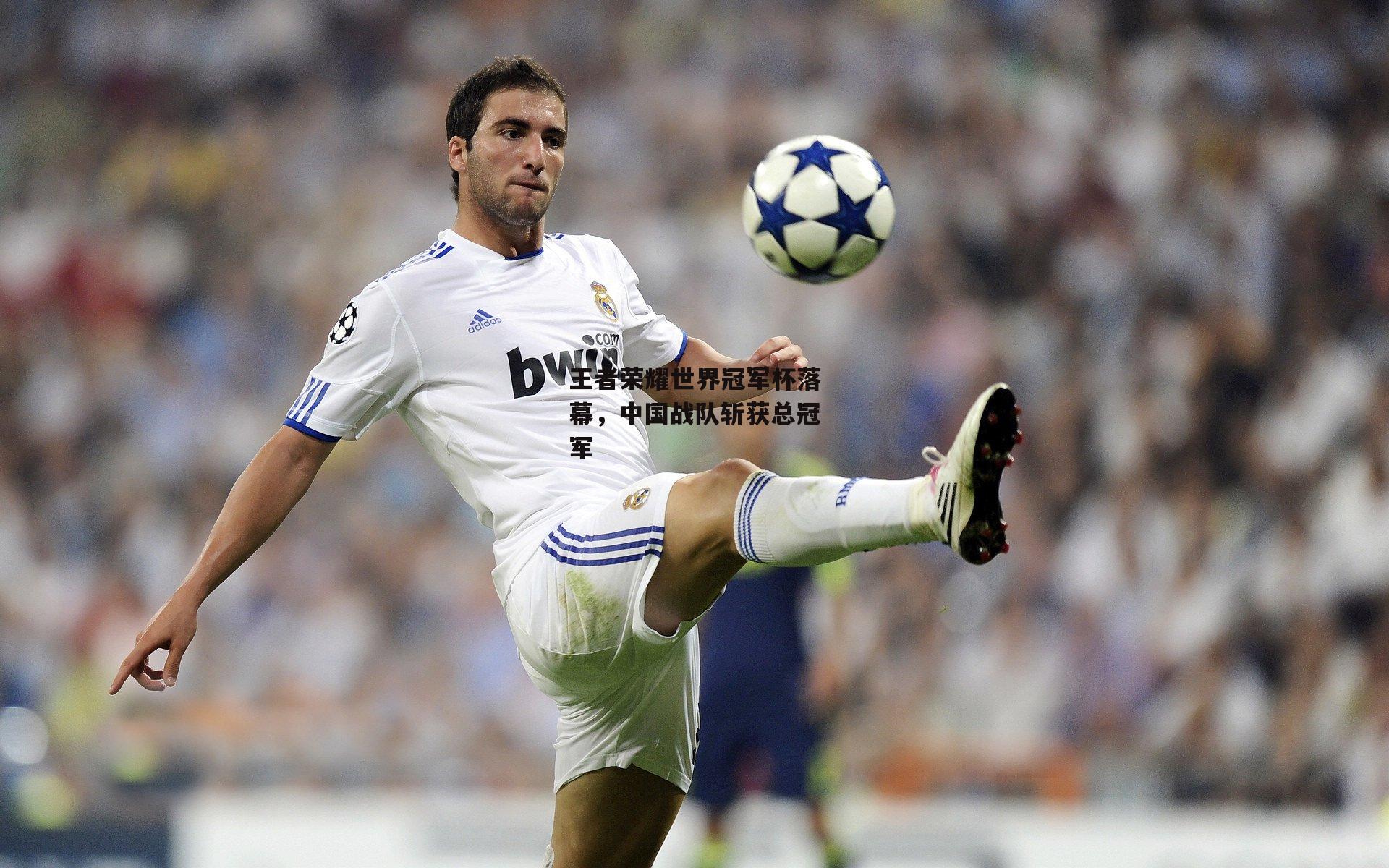 王者荣耀世界冠军杯落幕,中国战队斩获总冠军