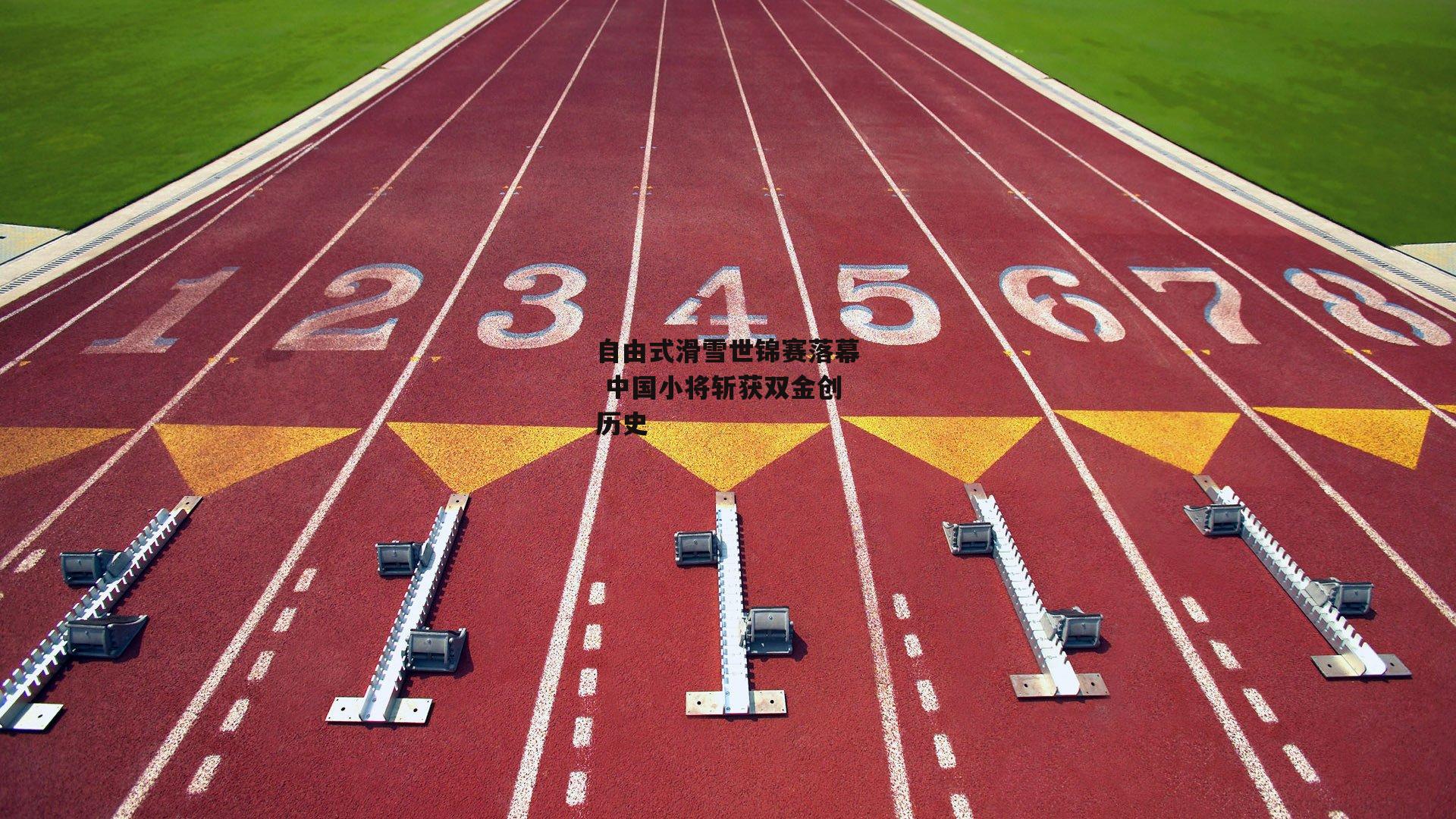 自由式滑雪世锦赛落幕 中国小将斩获双金创历史