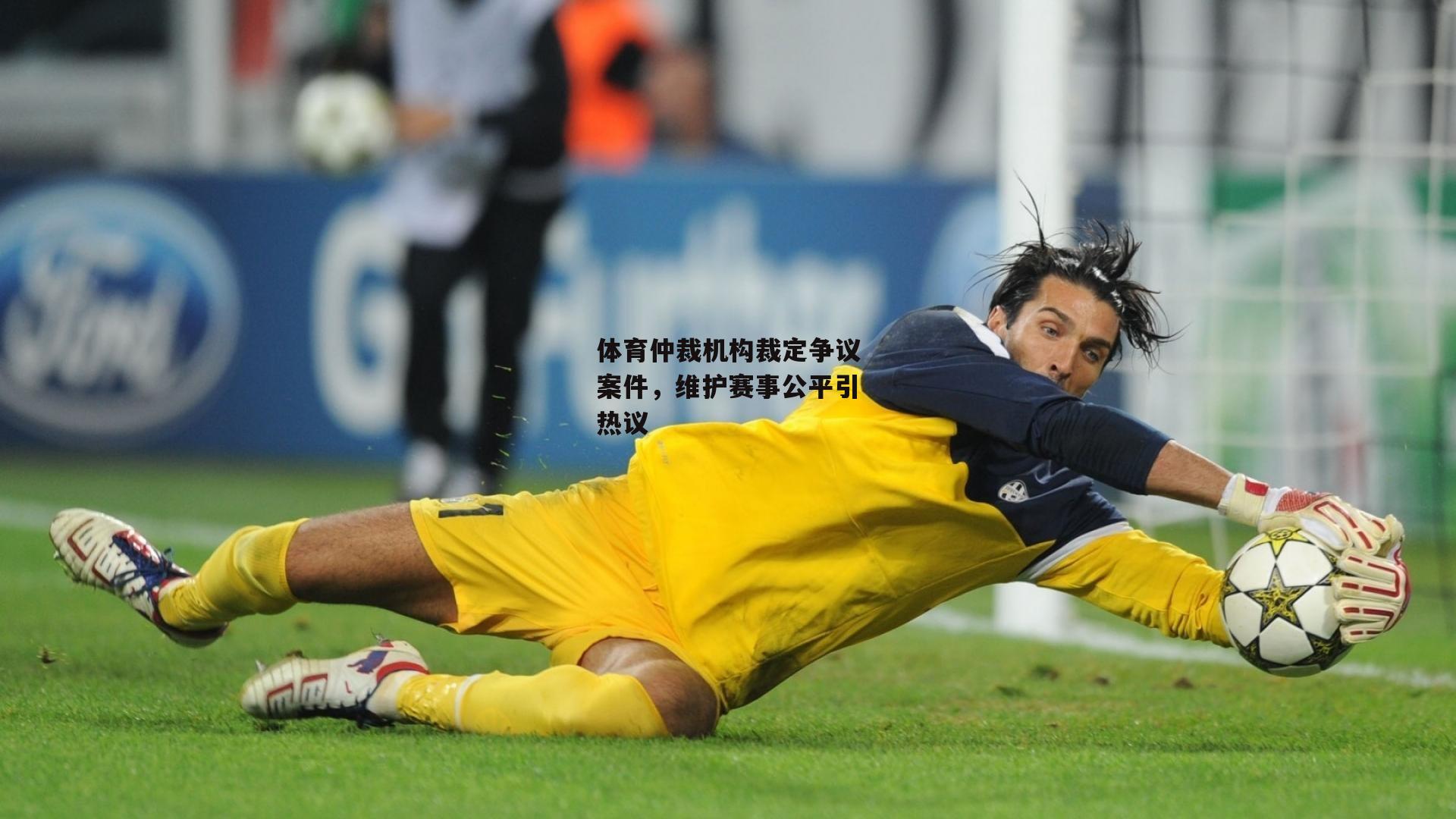 体育仲裁机构裁定争议案件,维护赛事公平引热议